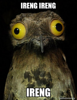 Weird Stuff I do Potoo