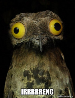 Weird Stuff I do Potoo