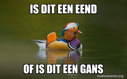 Fashionable Advice Mallard