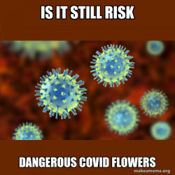 Coronavirus ( COVID-19 )