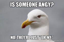 Is someone angy?