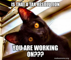 Overly Attached Cat