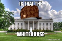 cap white house