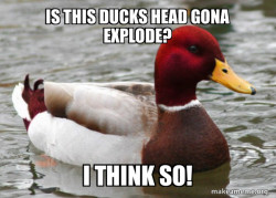 Xplode