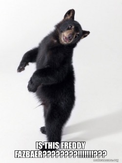 Super Bear'd