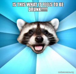 Lame Pun Coon