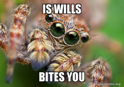 Hipster Spider
