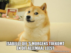 Doge