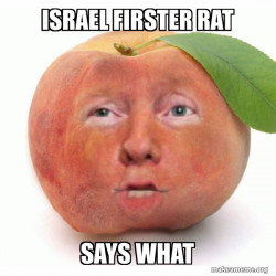Impeached Donald Trump