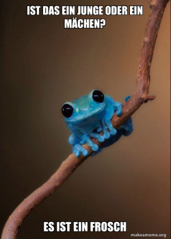 Small Fact Frog