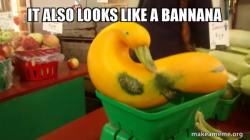 Gourd Advice Mallard