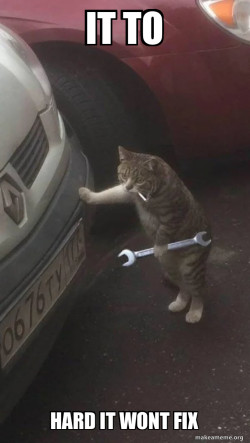 Mechanic Cat
