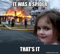 Disaster Girl