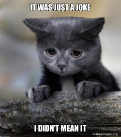 Confession Cat