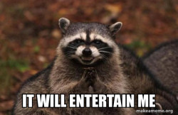 Evil Plotting Raccoon