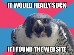 Millennial Falcon