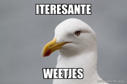 Stuff That Didn't Happen Seagull