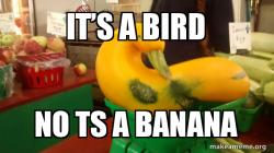 Gourd Advice Mallard
