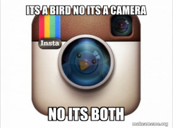 Instagram twitter