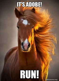 Horse_Adobe