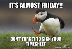 Unpopular Opinion Puffin