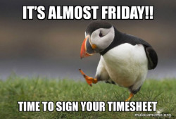 Unpopular Opinion Puffin