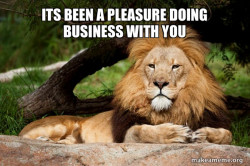 Contemplative Lion