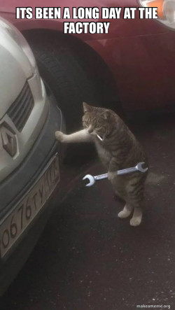 Mechanic Cat