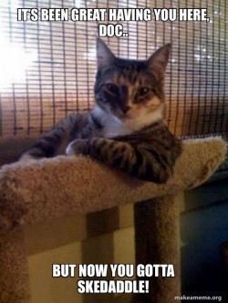 The Most Interesting Cat in the World