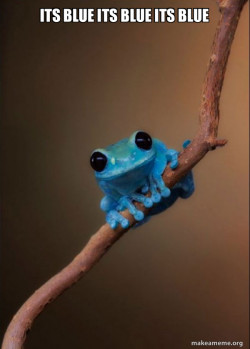 Small Fact Frog