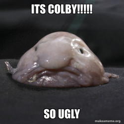 Blobfish