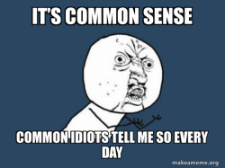 Y U No