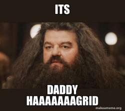Hagrid - I should not have said that
