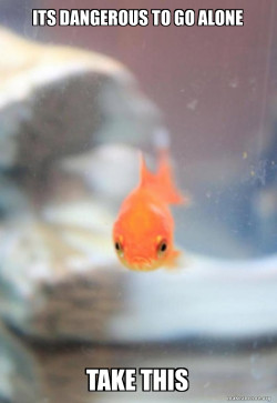 Grumpy Fish