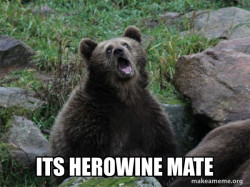 Sarcastic Bear