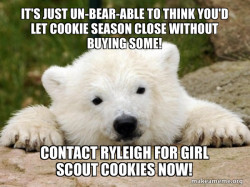 Popular Opinion Bear