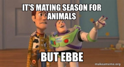 Text should say: It's mating season for animals
but do a slash over the word animals like it is worng and add Ebbe as correction word