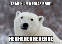 Popular Opinion Polar Bear