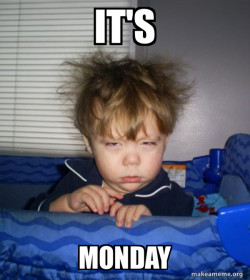Monday Mornings