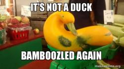 Gourd Advice Mallard