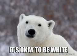 Popular Opinion Polar Bear