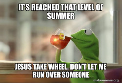 Kermit Drinking Tea