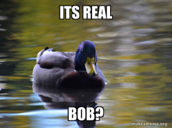 Zen Advice Mallard