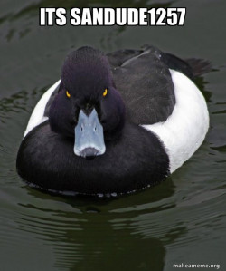 Revenge Duck ( Angry Advice Duck )