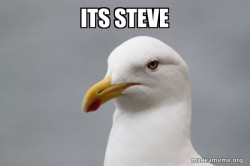 Stuff That Didn't Happen Seagull