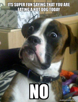 Skeptical Dog