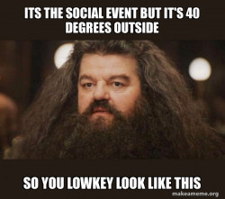 Hagrid - I should not have said that