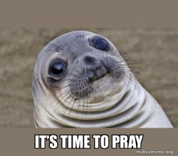 Squeamish Seal