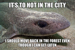 Dirty Joke Dogfish