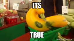 Gourd Advice Mallard